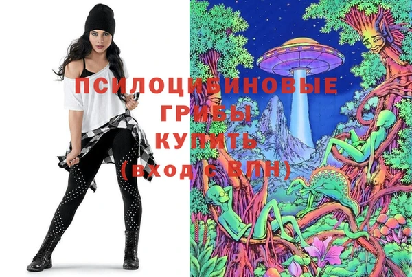 спайс Вязники