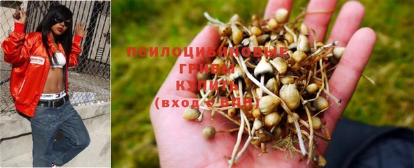 гашиш Вязьма