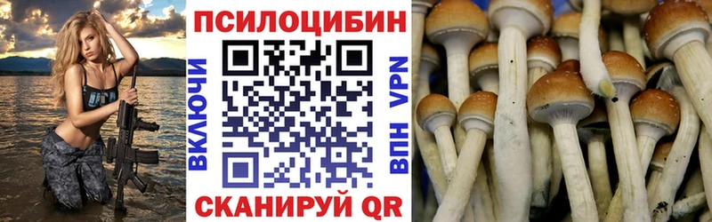 Псилоцибиновые грибы прущие грибы Заволжье