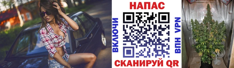 Шишки марихуана планчик  omg ССЫЛКА  Заволжье 
